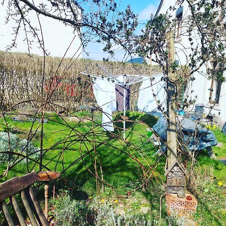 B&B A Quiet Place Tintigny Экстерьер фото